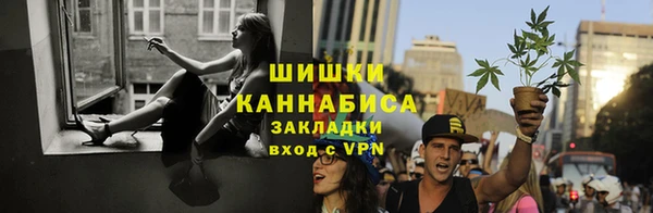 PSILOCYBIN Алексин