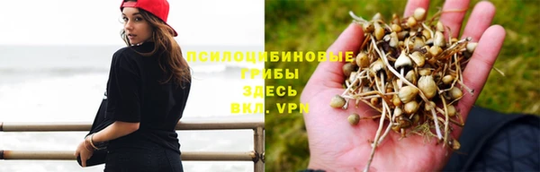 PSILOCYBIN Алексин