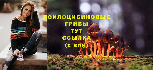 СК Алзамай